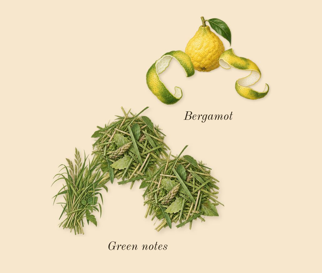 Amber Oud Gold Edition, top notes: Bergamot, Green notes