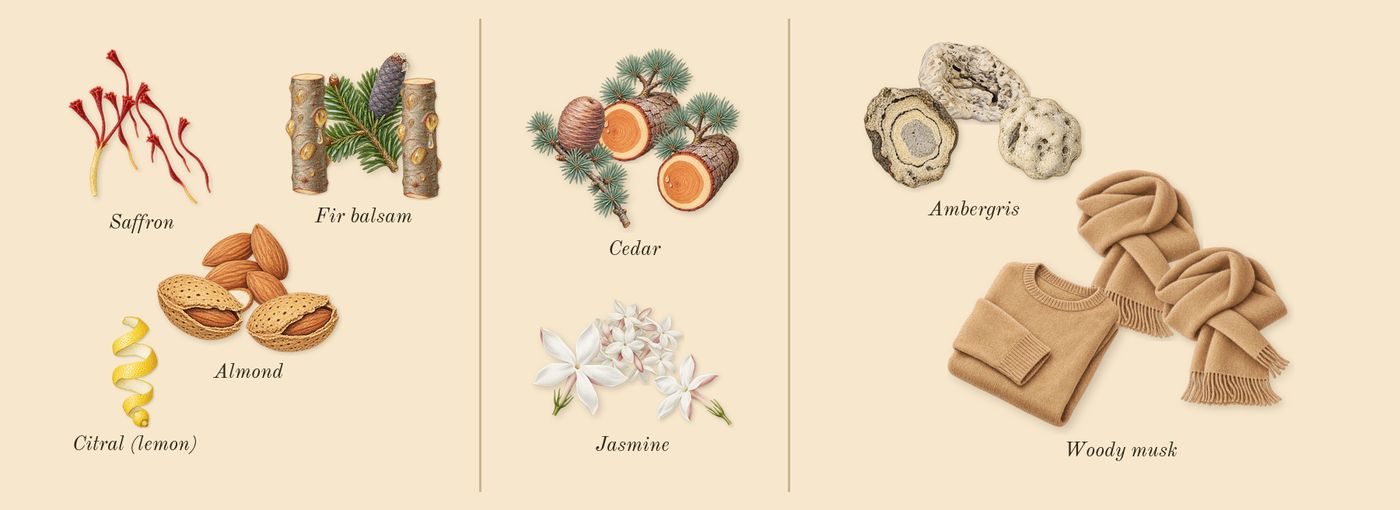 Amber Oud Ruby Edition’s scent picture, a draft: almond, saffron, jasmine, cedar, ambergris, woody musk drawn so far; dashed outlines where nothing is drawn yet