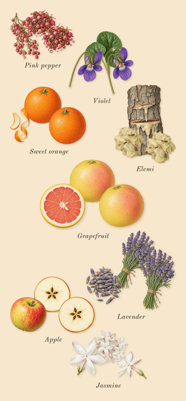 Detour Noir, top notes: Apple, Lavender, Violet, Jasmine, Grapefruit, Pink pepper, Elemi, Sweet orange