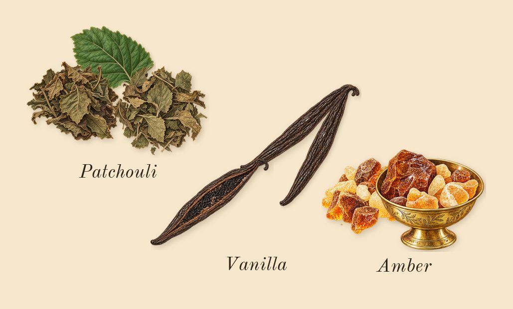 Zahara Amber Dubai, dry-down: Vanilla, Amber, Patchouli