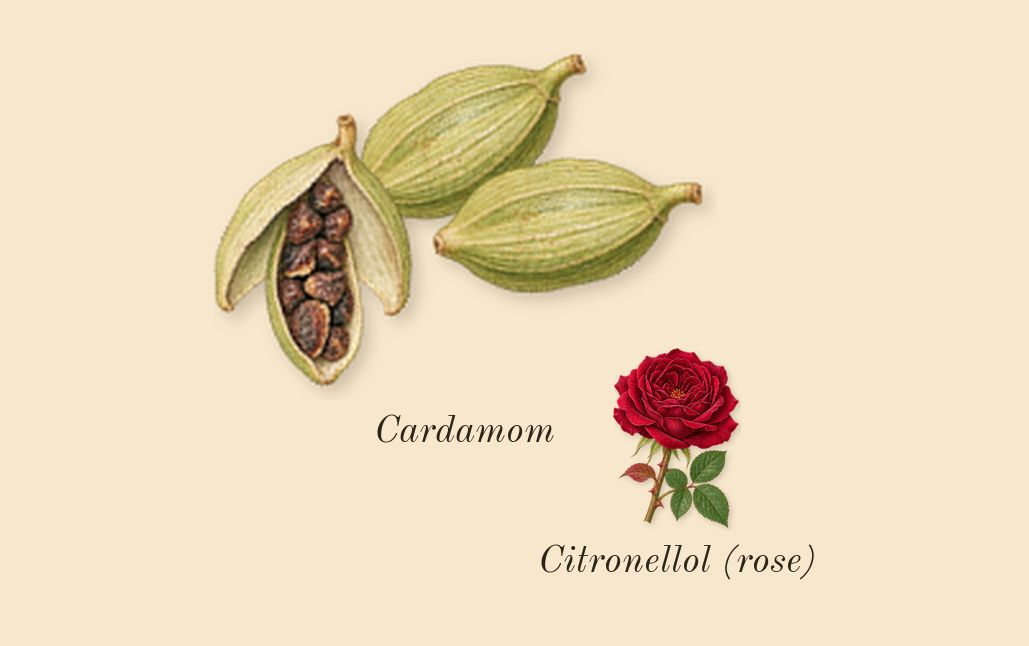Amiri, heart: Cardamom, Citronellol (rose)