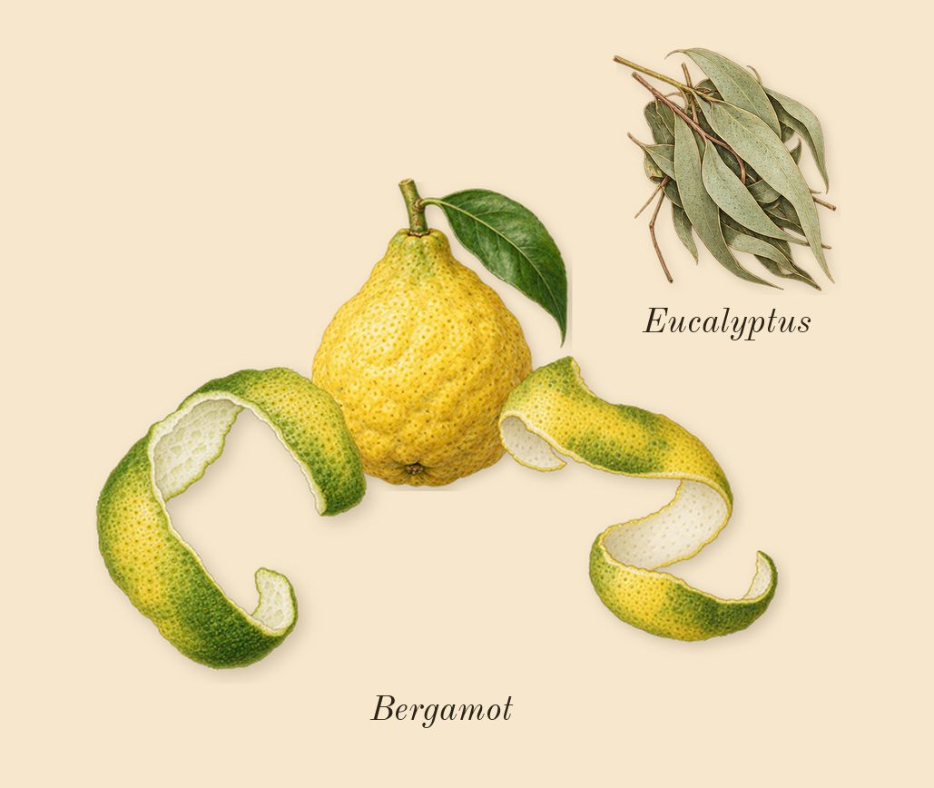 Amiri, top notes: Bergamot, Eucalyptus