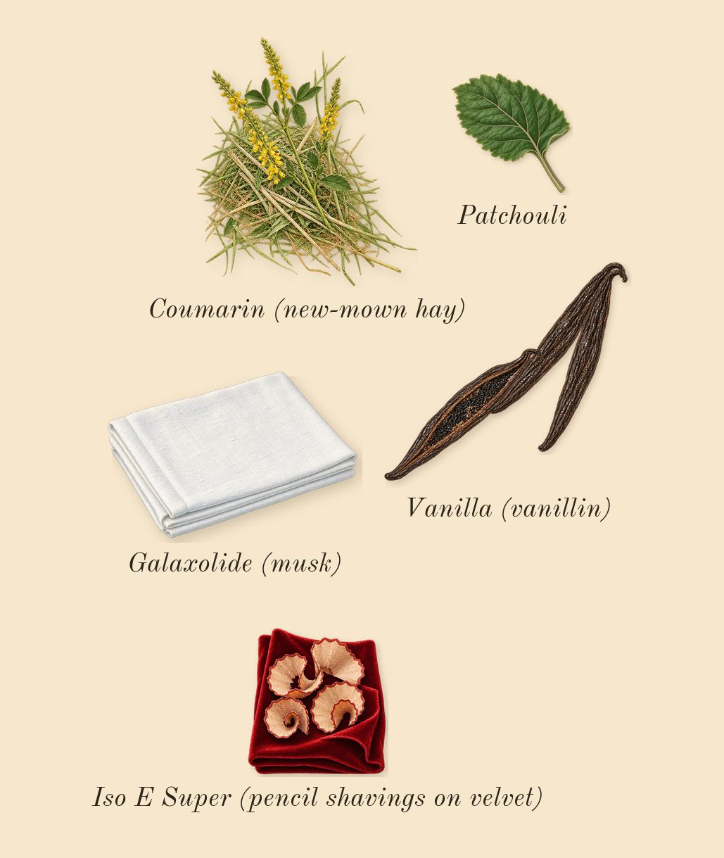 Arabian Knight Silver, dry-down: Vanilla (vanillin), Patchouli, Iso E Super (pencil shavings on velvet), Galaxolide (musk), Coumarin (new-mown hay)