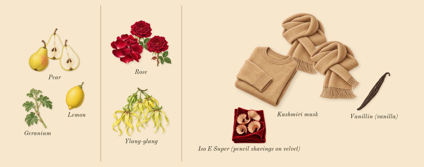 Kashmir Musk’s scent picture, a draft: pear, ylang-ylang, rose, kashmiri musk, geranium, lemon drawn so far; dashed outlines where nothing is drawn yet