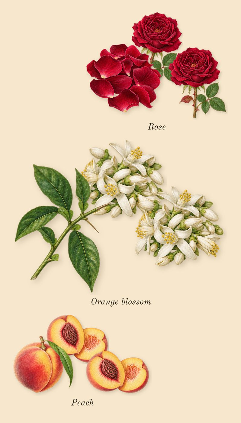 Madawi, heart: Orange blossom, Rose, Peach