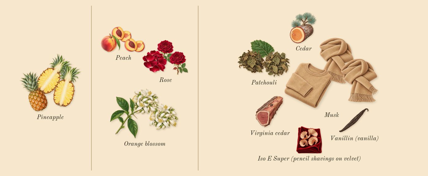 Madawi’s scent picture, a draft: pineapple, orange blossom, patchouli, musk, rose, peach drawn so far; dashed outlines where nothing is drawn yet