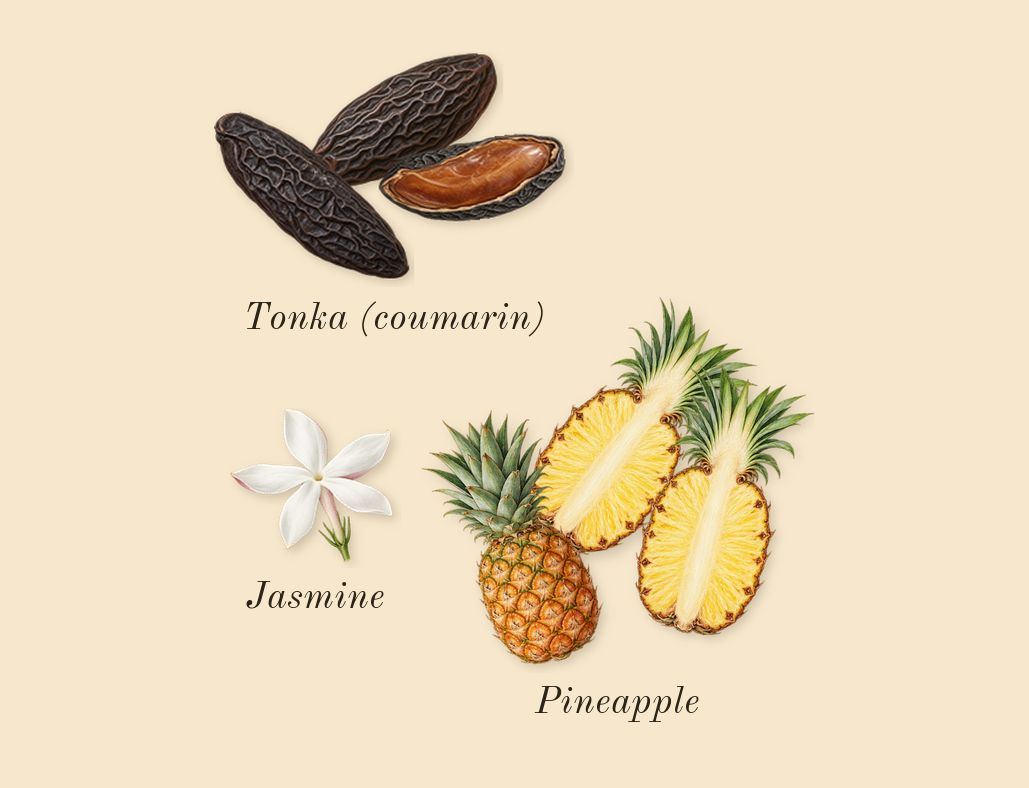 Madawi Gold Edition, heart: Pineapple, Tonka (coumarin), Jasmine