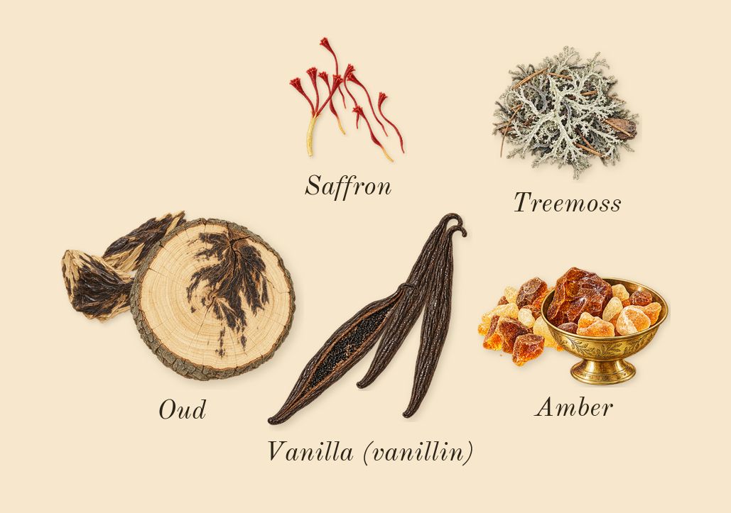 Resala, dry-down: Amber, Vanilla (vanillin), Saffron, Oud, Treemoss