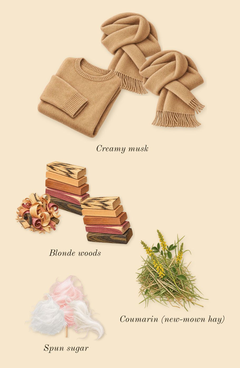 Ari, dry-down: Spun sugar, Creamy musk, Blonde woods, Coumarin (new-mown hay)