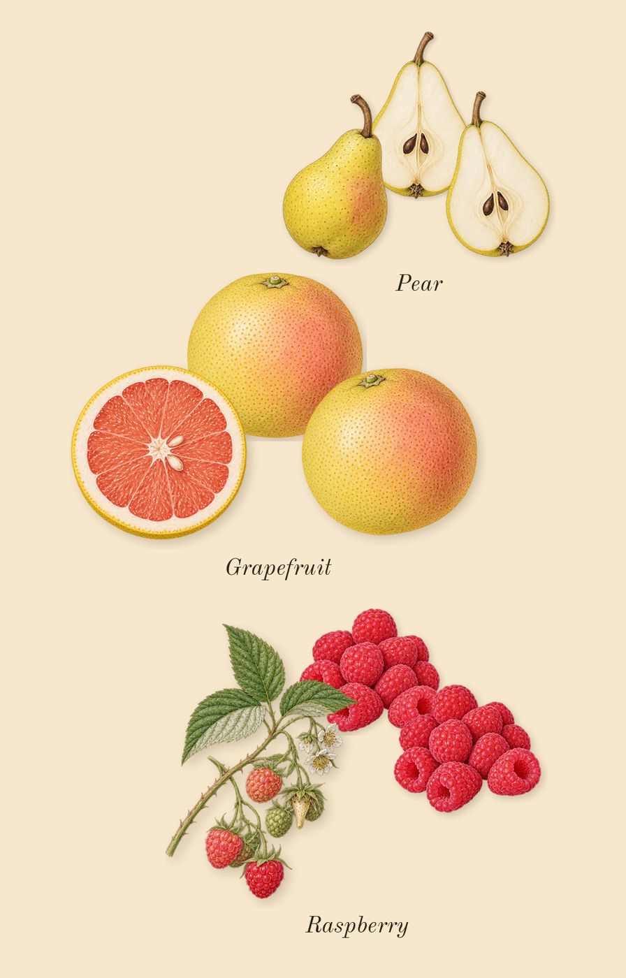 Ari, top notes: Pear, Grapefruit, Raspberry