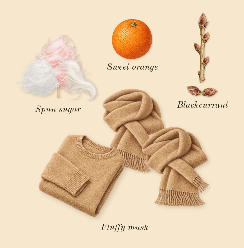Cloud Aurora, top notes: Spun sugar, Fluffy musk, Blackcurrant, Sweet orange