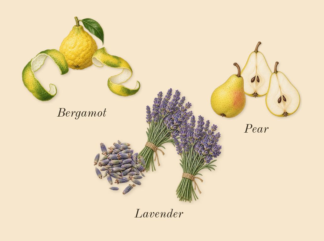 Cloud, top notes: Lavender, Pear, Bergamot