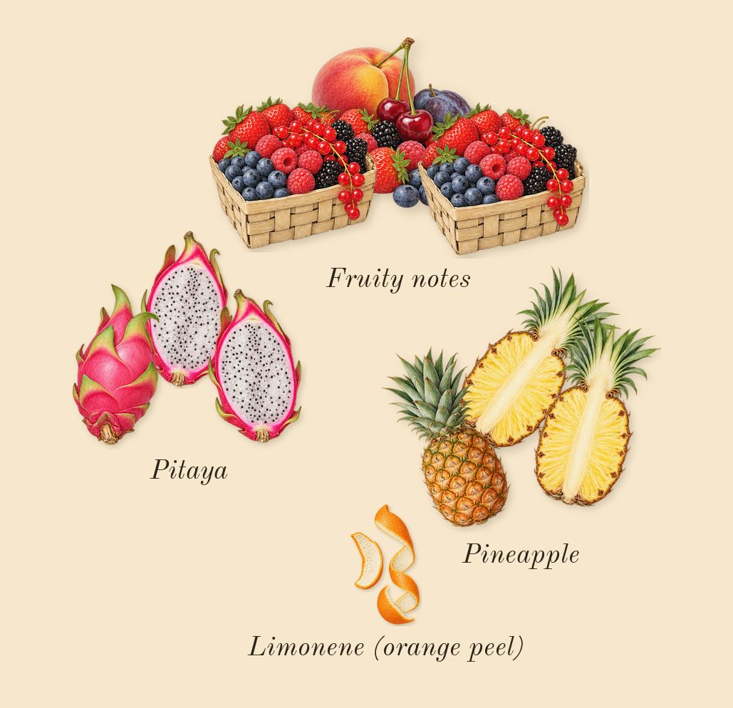 Cloud Pink, top notes: Pineapple, Pitaya, Fruity notes, Limonene (orange peel)