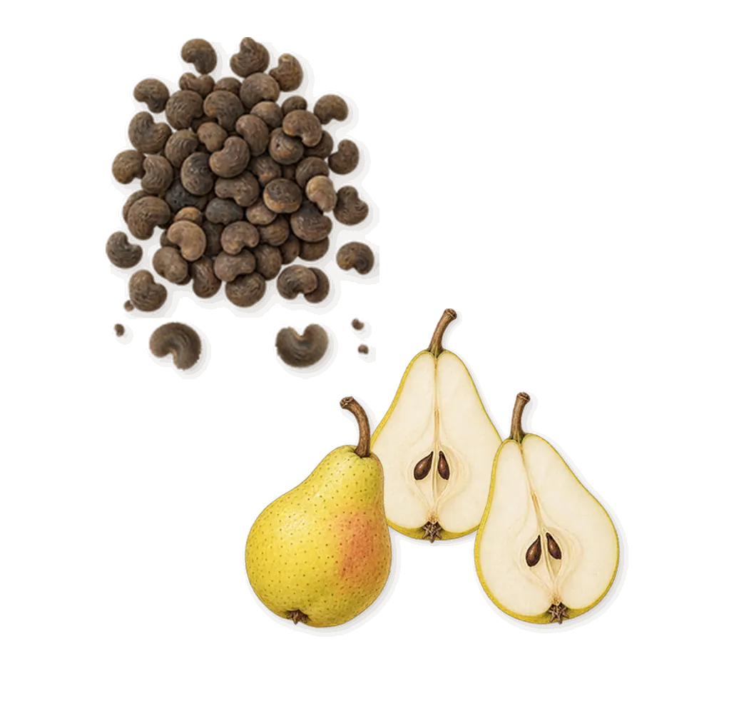 God Is A Woman, when you spray it: Ambrette, Pear