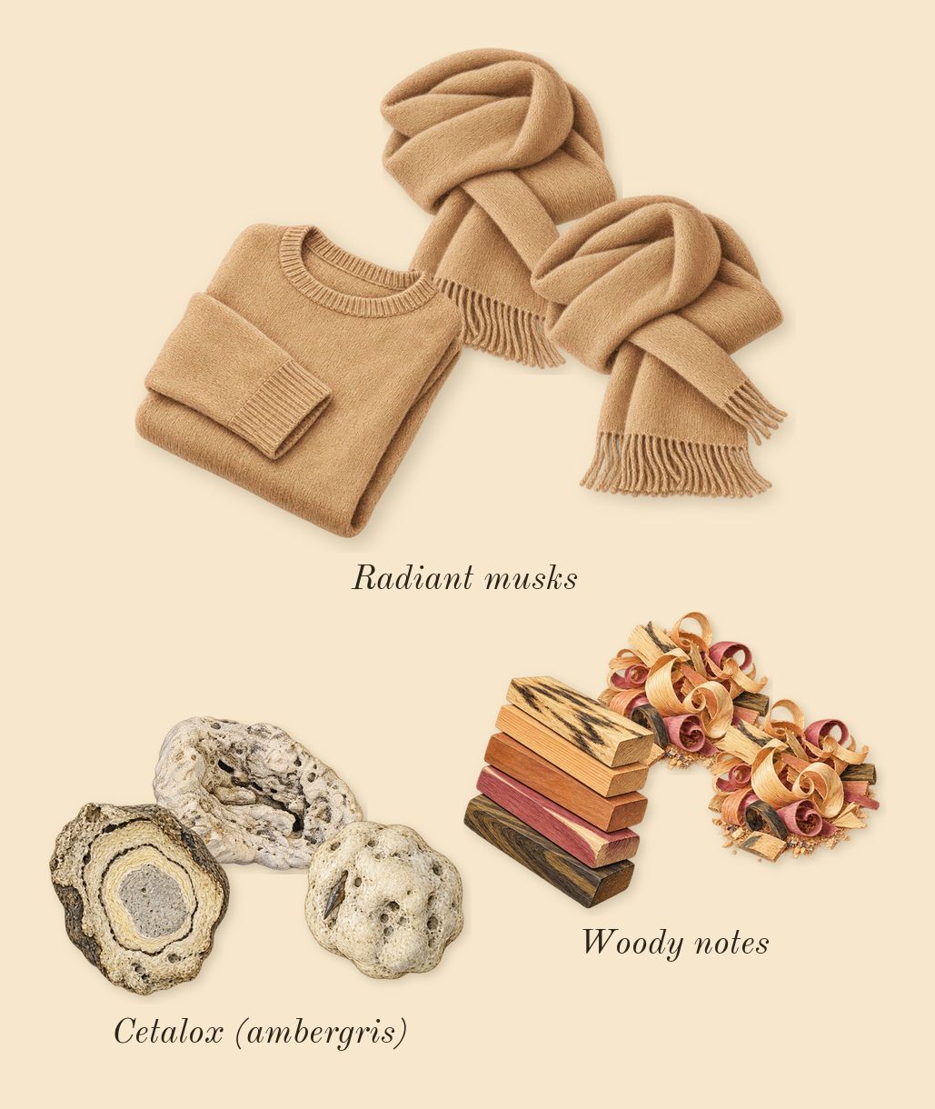 MOD Blush, dry-down: Cetalox (ambergris), Woody notes, Radiant musks