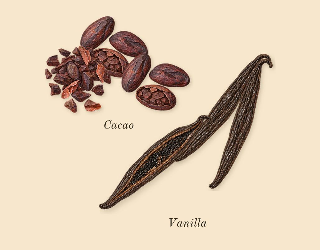 MOD Vanilla, dry-down: Vanilla, Cacao