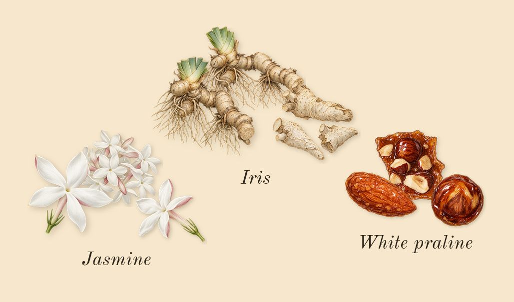 MOD Vanilla, heart: Iris, White praline, Jasmine
