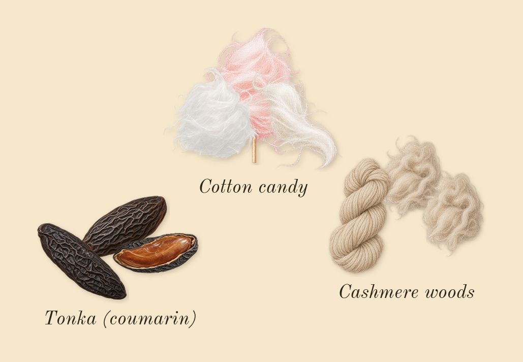 Pink Woods, dry-down: Tonka (coumarin), Cashmere woods, Cotton candy