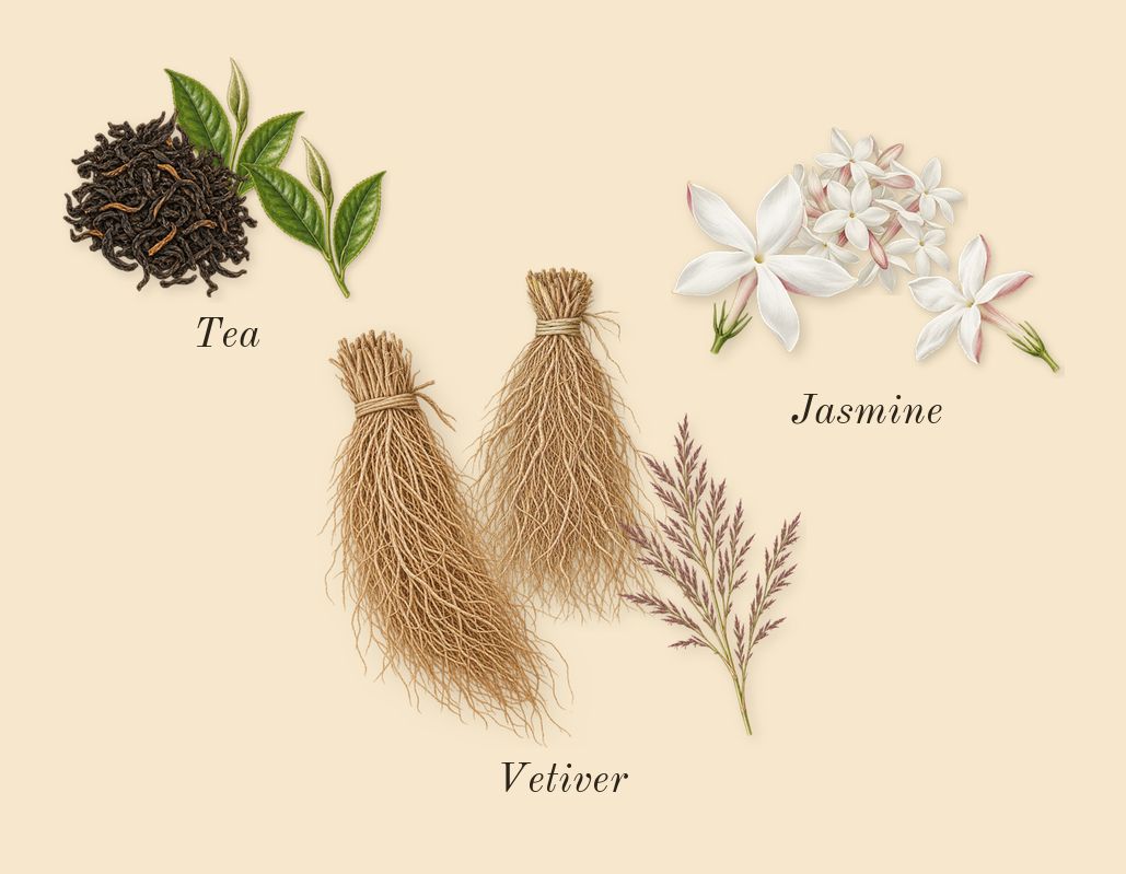 Pink Woods, heart: Jasmine, Tea, Vetiver