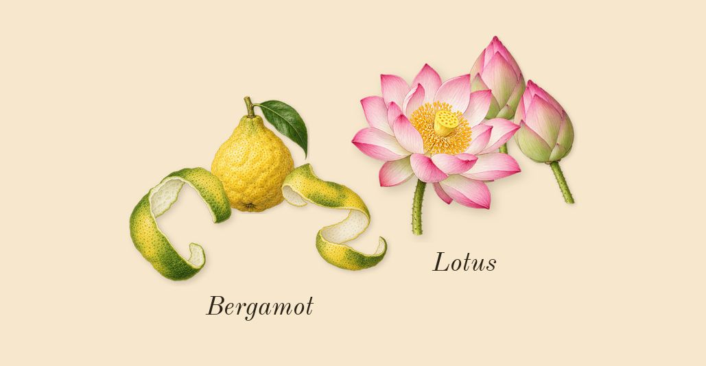 Pink Woods, top notes: Bergamot, Lotus