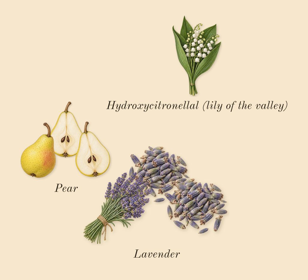 R.E.M., heart: Pear, Lavender, Hydroxycitronellal (lily of the valley)