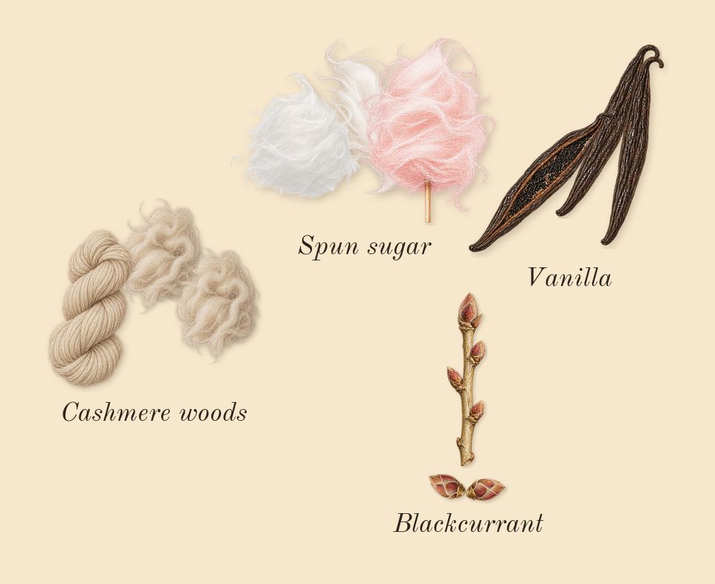 Sweet Like Candy, dry-down: Blackcurrant, Spun sugar, Cashmere woods, Vanilla
