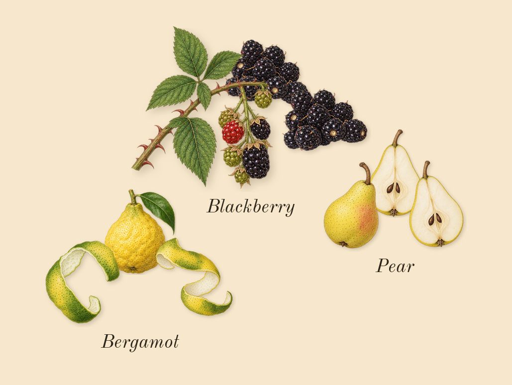 Sweet Like Candy, top notes: Blackberry, Bergamot, Pear