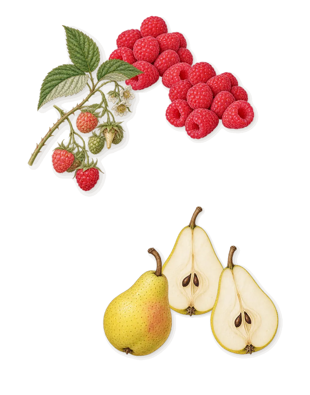 Thank U, Next, when you spray it: Pear, Raspberry