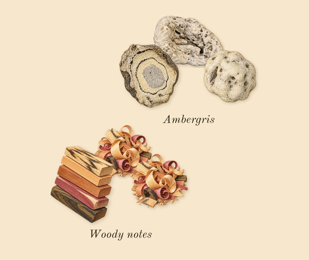 Club de Nuit Untold, heart: Woody notes, Ambergris