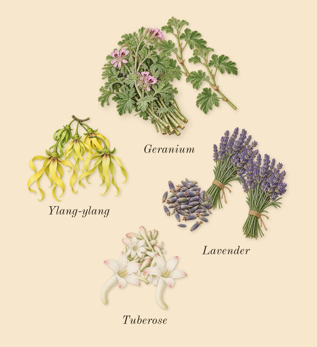 Hunter Intense, heart: Lavender, Geranium, Ylang-ylang, Tuberose