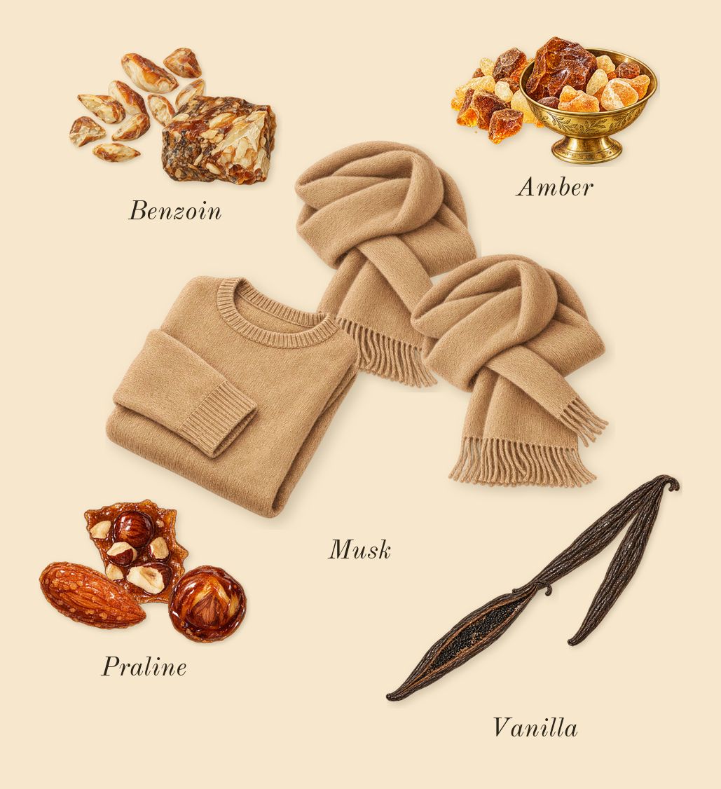 Odyssey French Kiss, dry-down: Amber, Vanilla, Praline, Benzoin, Musk
