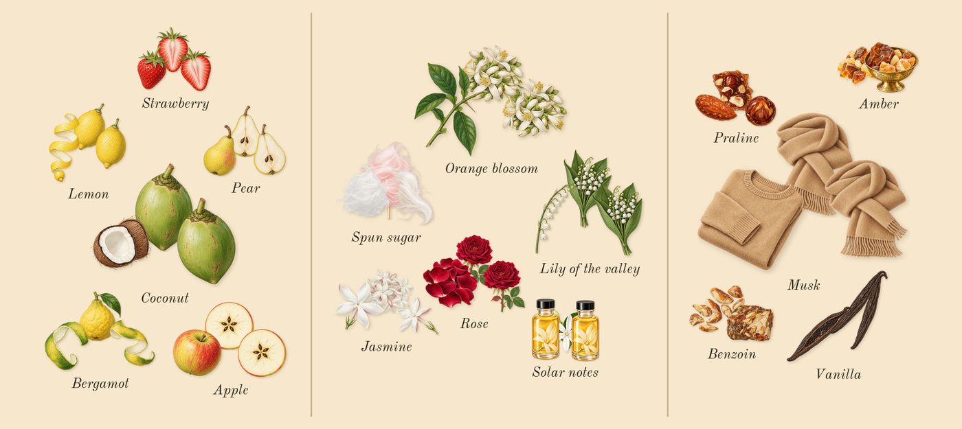 Odyssey French Kiss’s scent picture, a draft: apple, pear, strawberry, bergamot, lemon, coconut drawn so far; dashed outlines where nothing is drawn yet