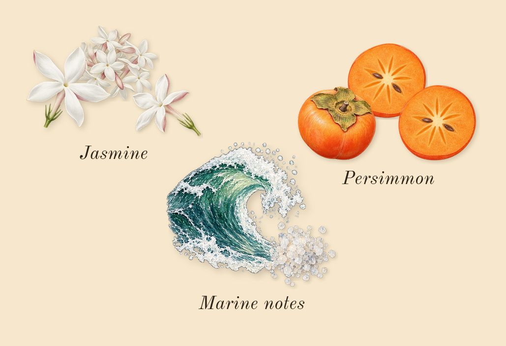 Acqua di Giò, heart: Marine notes, Persimmon, Jasmine