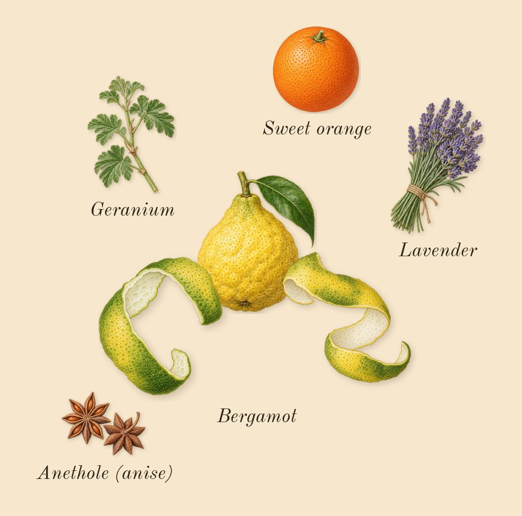 Acqua di Giò Intense, top notes: Bergamot, Lavender, Sweet orange, Geranium, Anethole (anise)