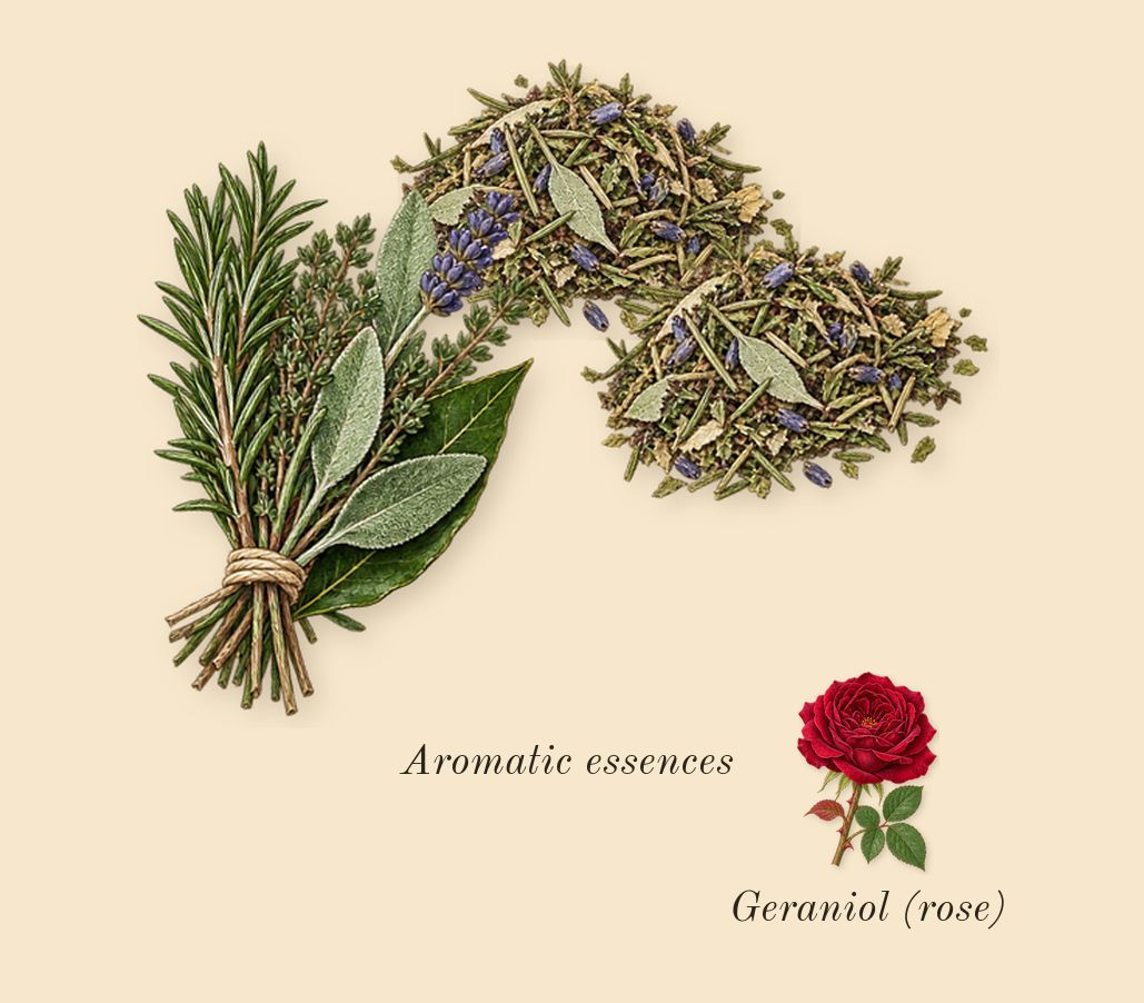 Acqua di Giò Profondo, heart: Aromatic essences, Geraniol (rose)