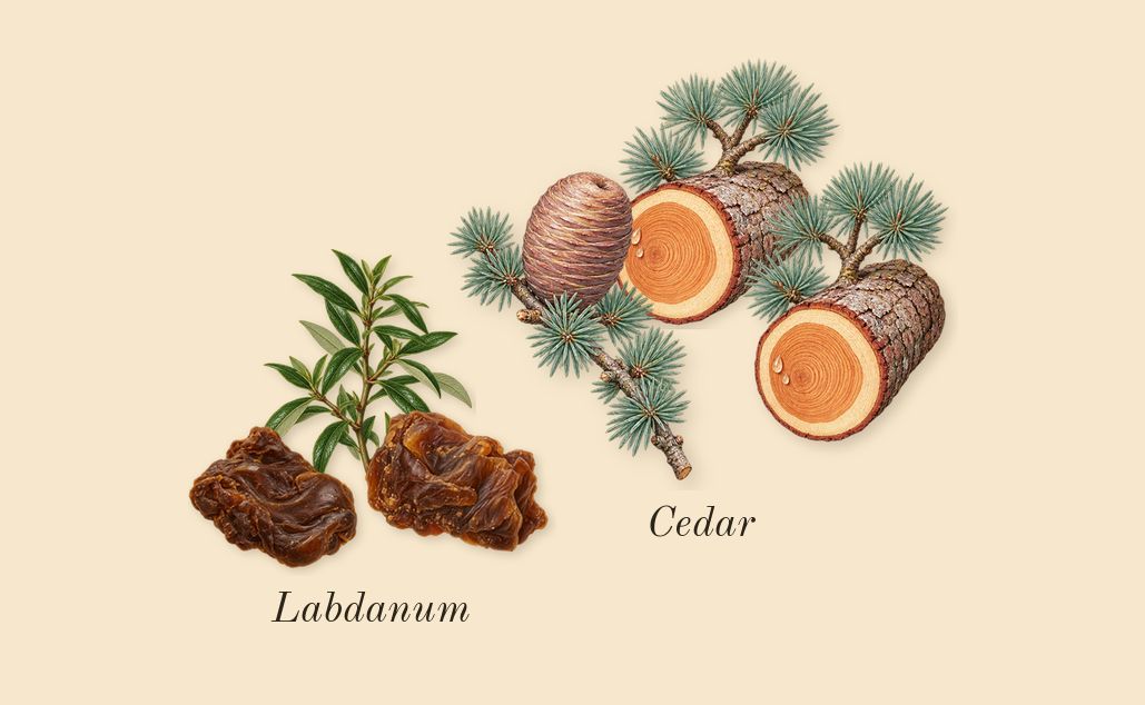 Acqua di Gioia, dry-down: Cedar, Labdanum