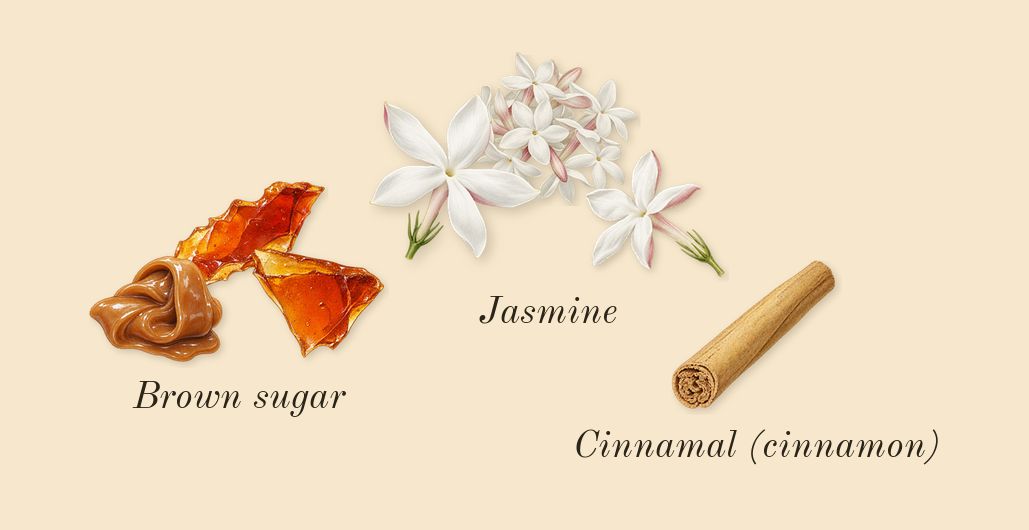 Acqua di Gioia, heart: Jasmine, Brown sugar, Cinnamal (cinnamon)