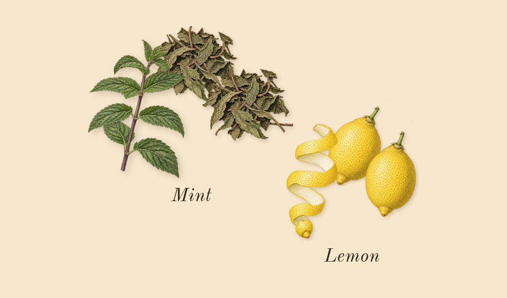 Acqua di Gioia, top notes: Lemon, Mint