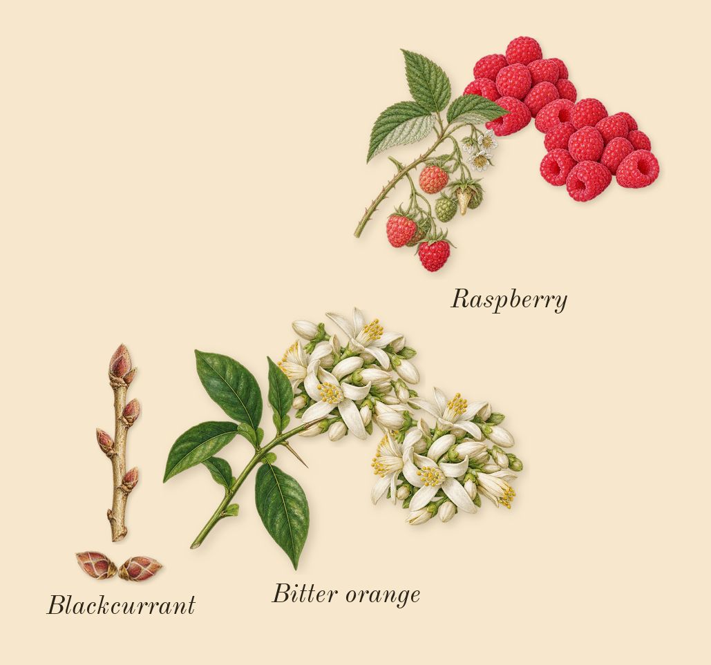 Because It's You, top notes: Raspberry, Blackcurrant, Bitter orange