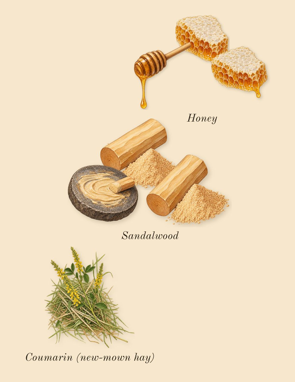 Code Femme, dry-down: Honey, Sandalwood, Coumarin (new-mown hay)