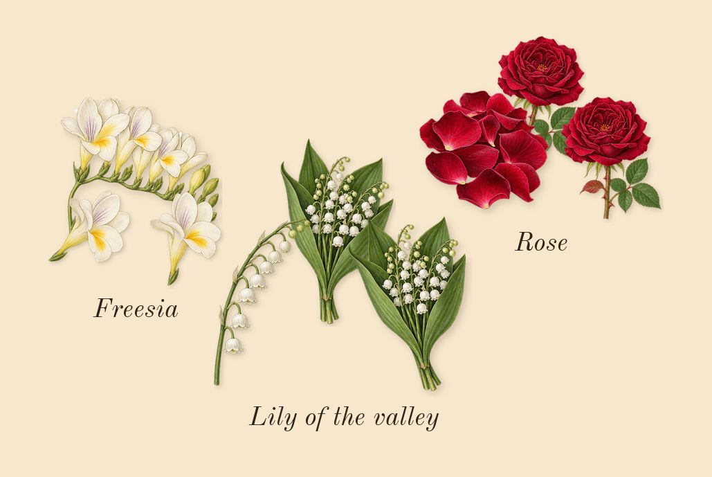 Diamonds, heart: Rose, Lily of the valley, Freesia