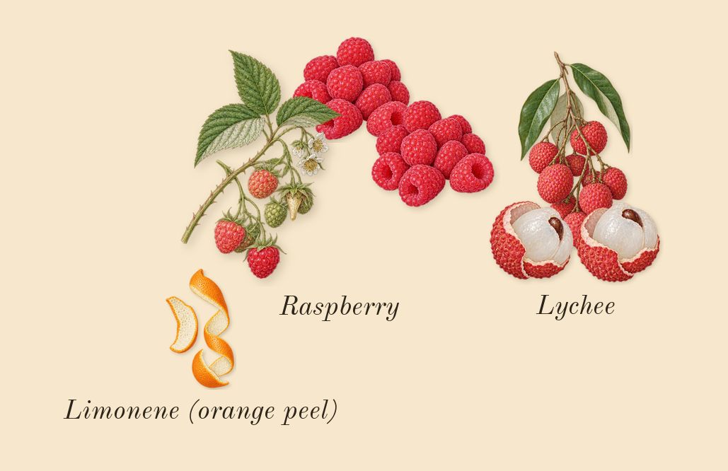 Diamonds, top notes: Lychee, Raspberry, Limonene (orange peel)