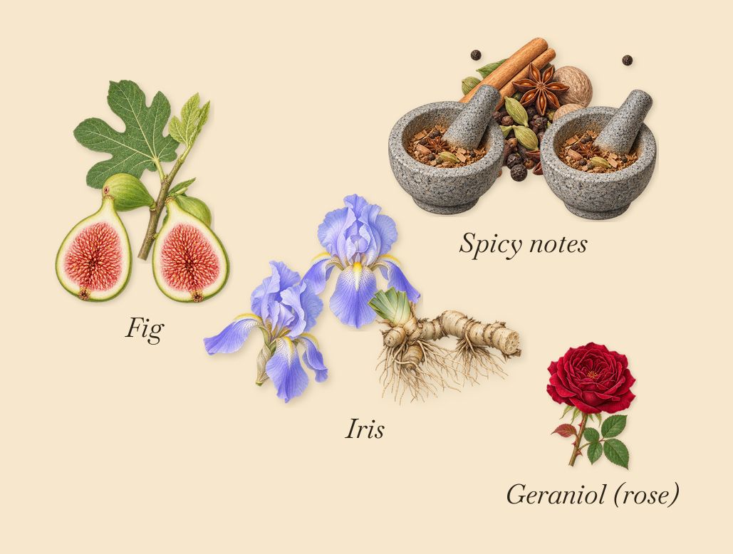 Figuier Eden, as it settles: Fig, Iris, Spicy notes, Geraniol (rose)
