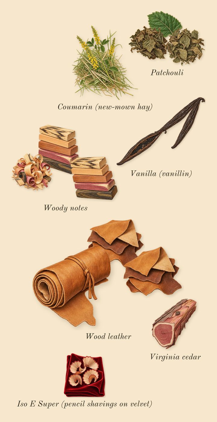 I Will, dry-down: Vanilla (vanillin), Woody notes, Patchouli, Wood leather, Virginia cedar, Iso E Super (pencil shavings on velvet), Coumarin (new-mown hay)