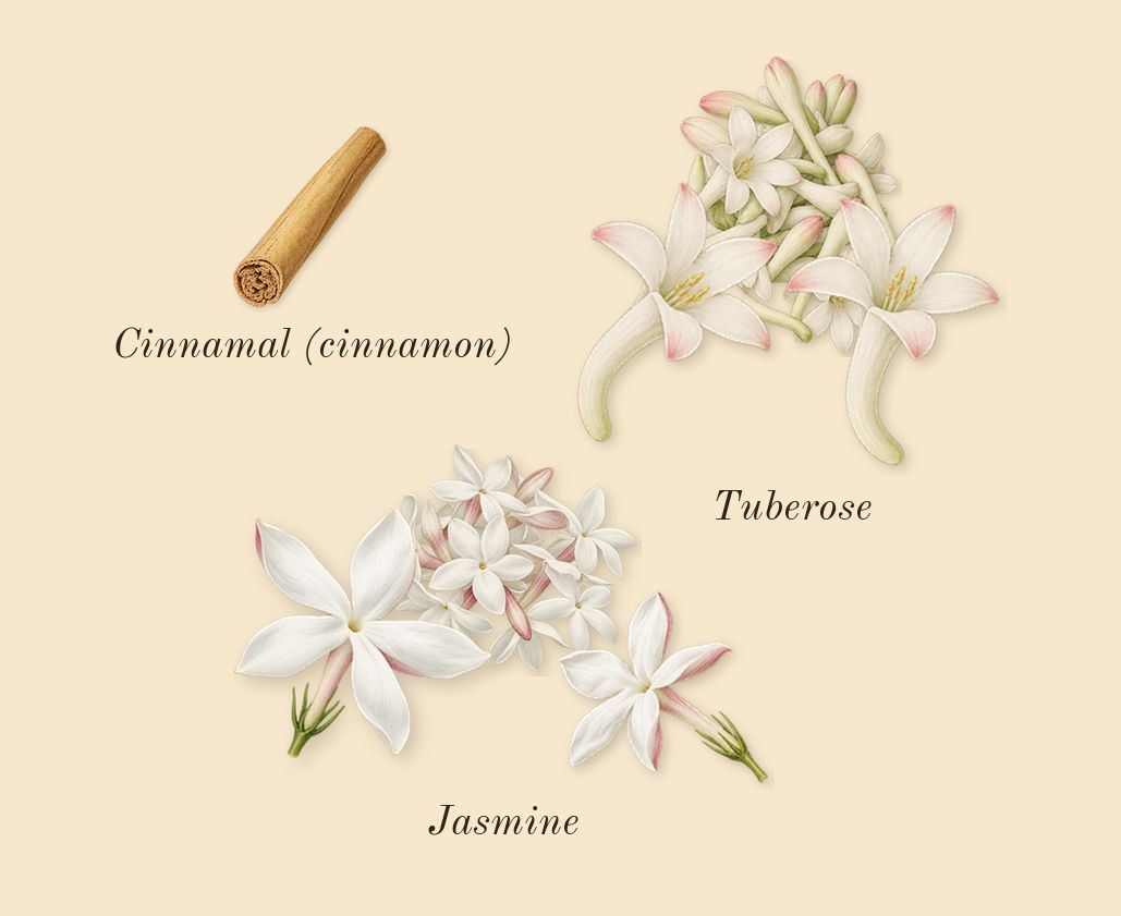 My Way, heart: Tuberose, Jasmine, Cinnamal (cinnamon)