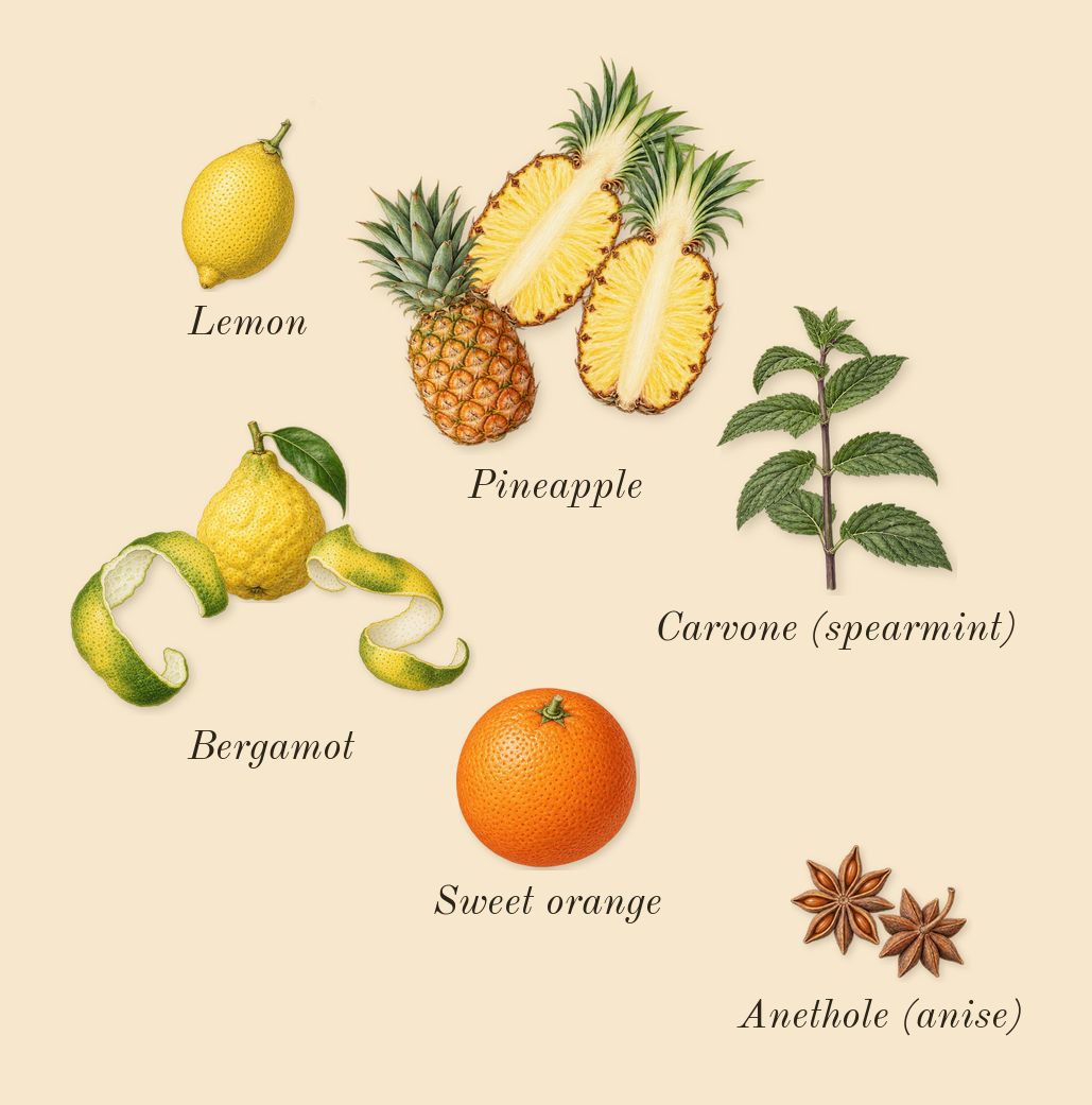 My Way Sunny Vanilla, top notes: Pineapple, Bergamot, Sweet orange, Lemon, Anethole (anise), Carvone (spearmint)
