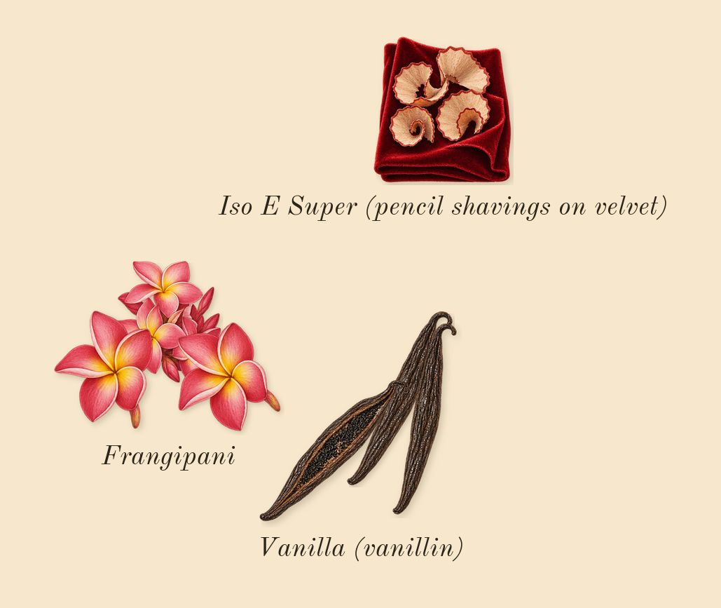 Power of You, dry-down: Frangipani, Vanilla (vanillin), Iso E Super (pencil shavings on velvet)