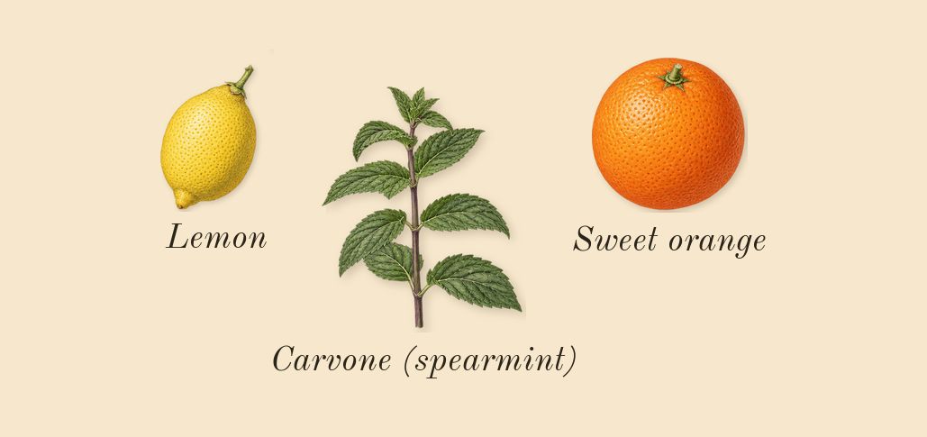 Power of You, top notes: Sweet orange, Lemon, Carvone (spearmint)