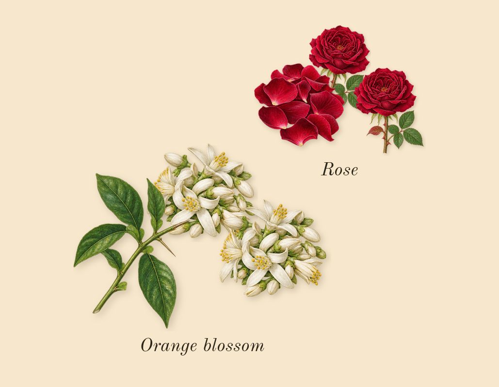 Sì, heart: Orange blossom, Rose