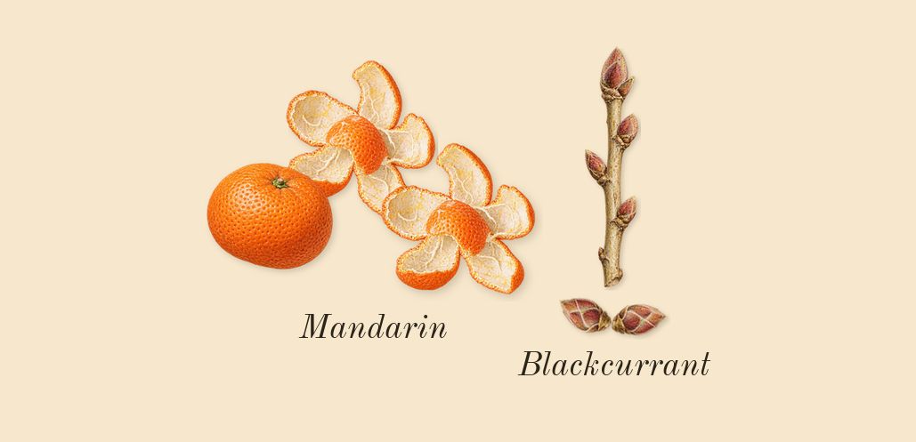 Sì, top notes: Blackcurrant, Mandarin